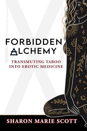Forbidden Alchemy Cover